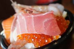 海鮮処 魚屋の台所 本店