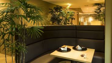 金乃竹 塔ノ澤(キンノタケ トウノサワ) / 4