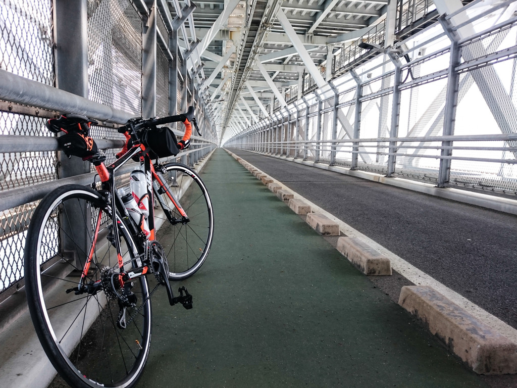 サイクリングロードです