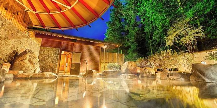 大江戸温泉物語 下呂別館(岐阜県 旅館) / 1