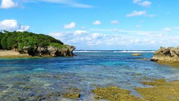 ランド ビュー / 13