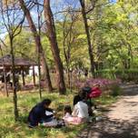 【山梨】子どもとおでかけ！大満足な笑顔が見られる森林公園 ・金川の森へ行こう