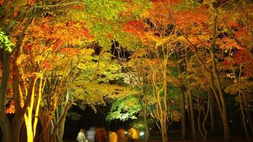 観光スポット / 7