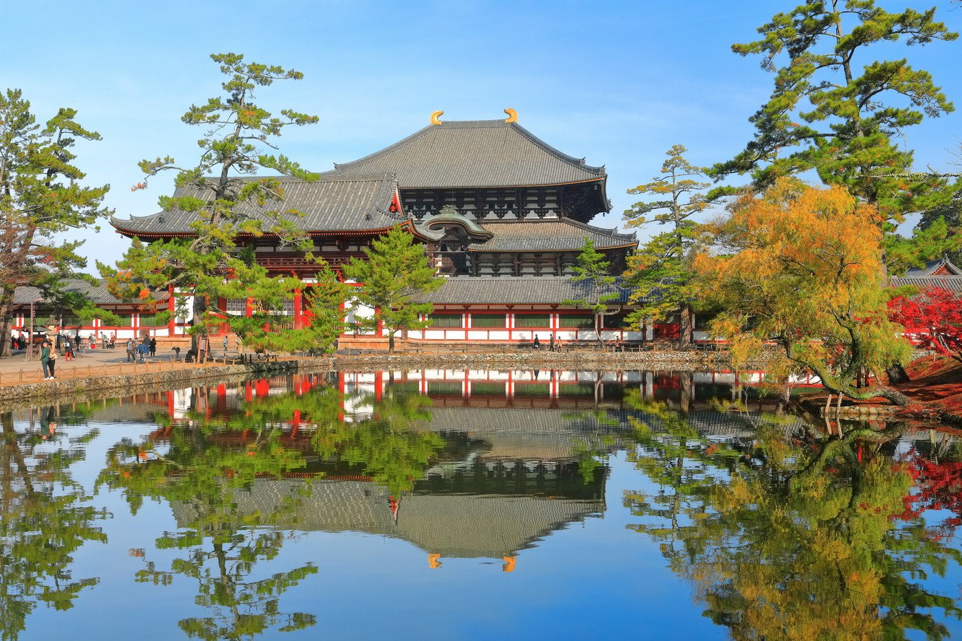 奈良の大仏さまと大仏殿の大きさにびっくり！夜も楽しめる「東大寺」3725348