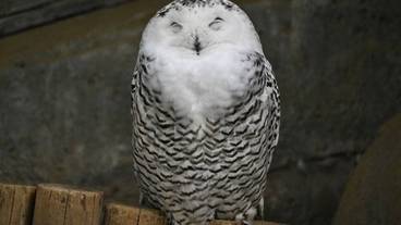 観光スポット / 13