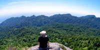 屋久島へひとり旅。おひとり様におすすめのホテル＆旅館7選