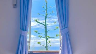 リビング エリア / 18