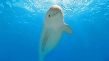 観光スポット / 4