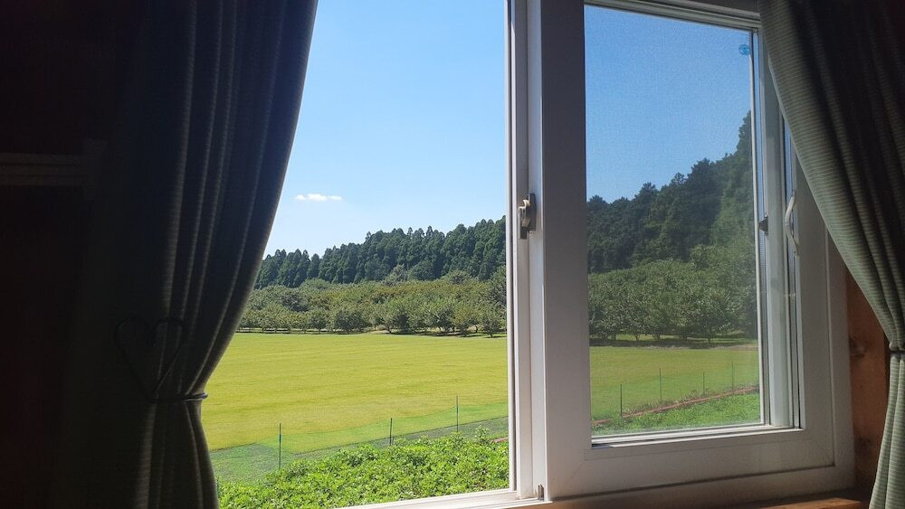 部屋からの景観