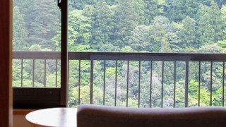 和室 12.5畳 禁煙(マッサージチェアと陶器風呂)