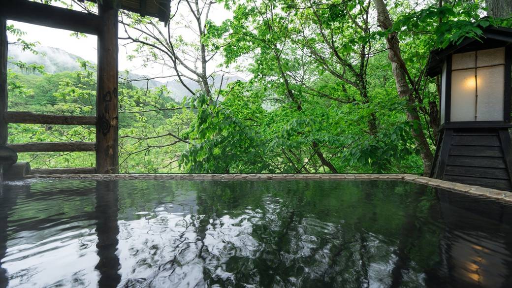 岩露天風呂と新緑 / 1