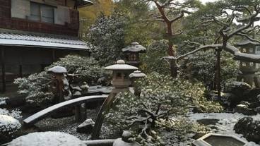 施設の敷地 / 14