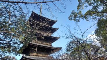 観光スポット / 9