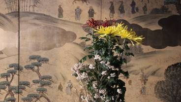 内装の詳細 / 13