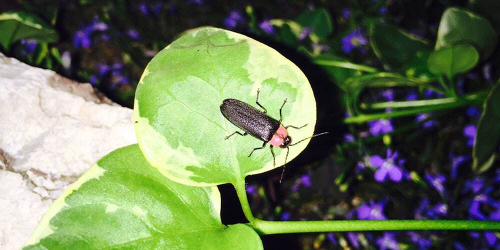 施設の敷地
