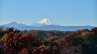 パノラマビュー 和モダンルーム Cタイプ 禁煙