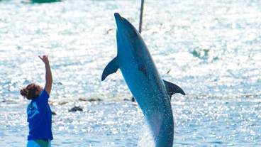 フィットネス設備 / 9