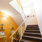 ケイズハウス京都（京都府 ゲストハウス・ホステル・ドミトリー） / 3