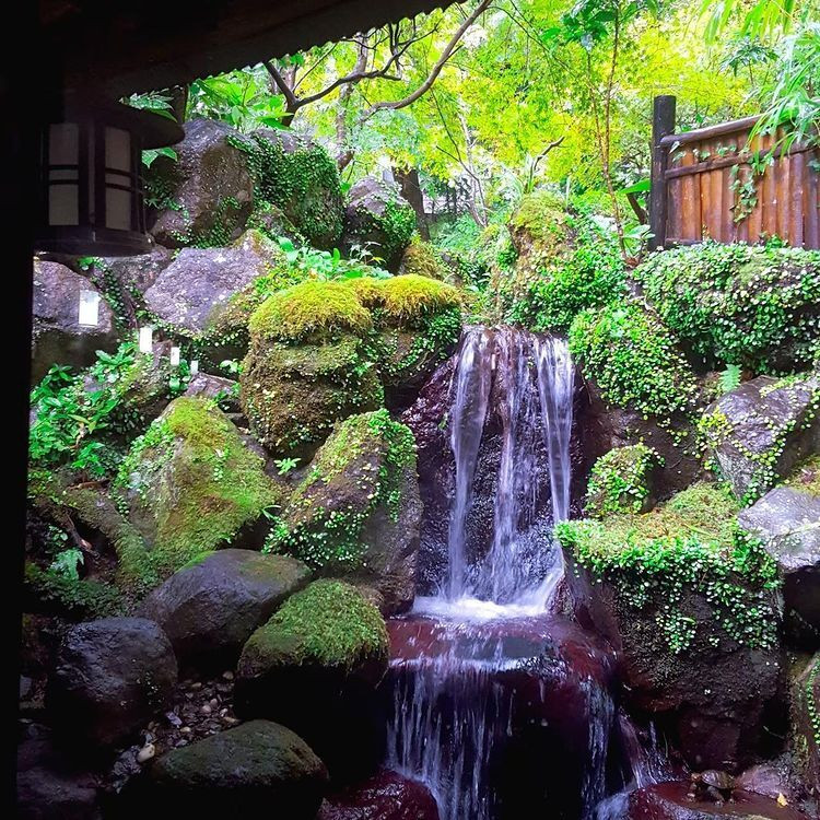 a_yht1oさんの写真 / 2