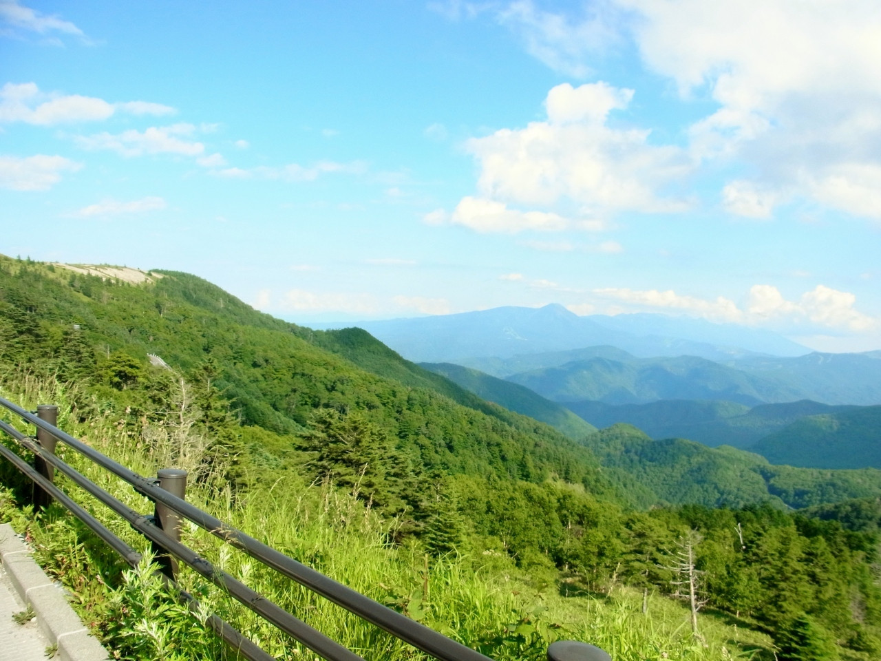 訪れた人を楽しませてくれるからリピートしたくなる680752