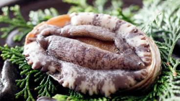 食事・飲み物 / 15