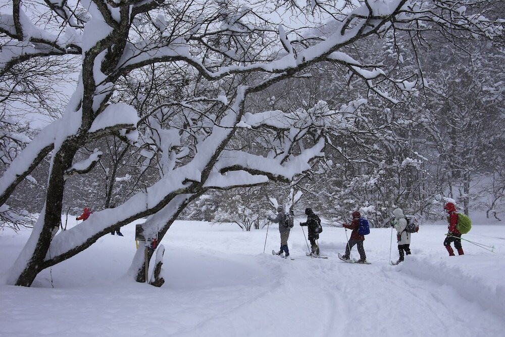 スノー スポーツとスキー