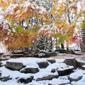 蔵王温泉 蔵王 和歌（うた）の宿 わかまつや（山形県 旅館） / 5