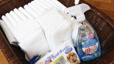 ペット用設備・サービス / 2