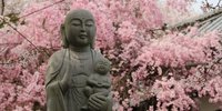 神戸の花見スポット！実は名所、桜で賑わう「有馬温泉」を散策しませんか？