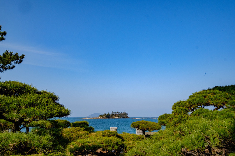 「御食事処 きはち」 メイン 178821524 