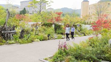 マウンテン ビュー / 13