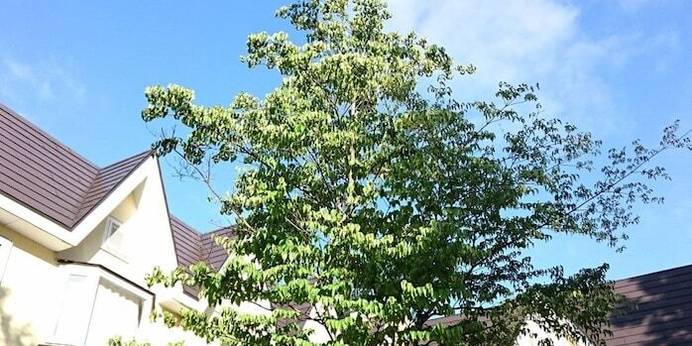 レイクサイドイン ベイクド・ポテト（福島県 ペンション） / 1