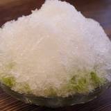 初音（ハツネ）