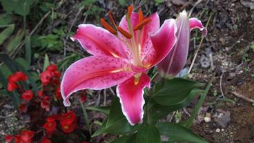 施設からの眺望 / 21