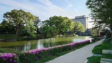 メイン イメージ / 1