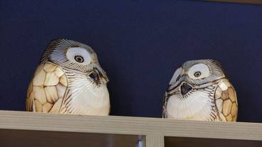 内装の詳細 / 11