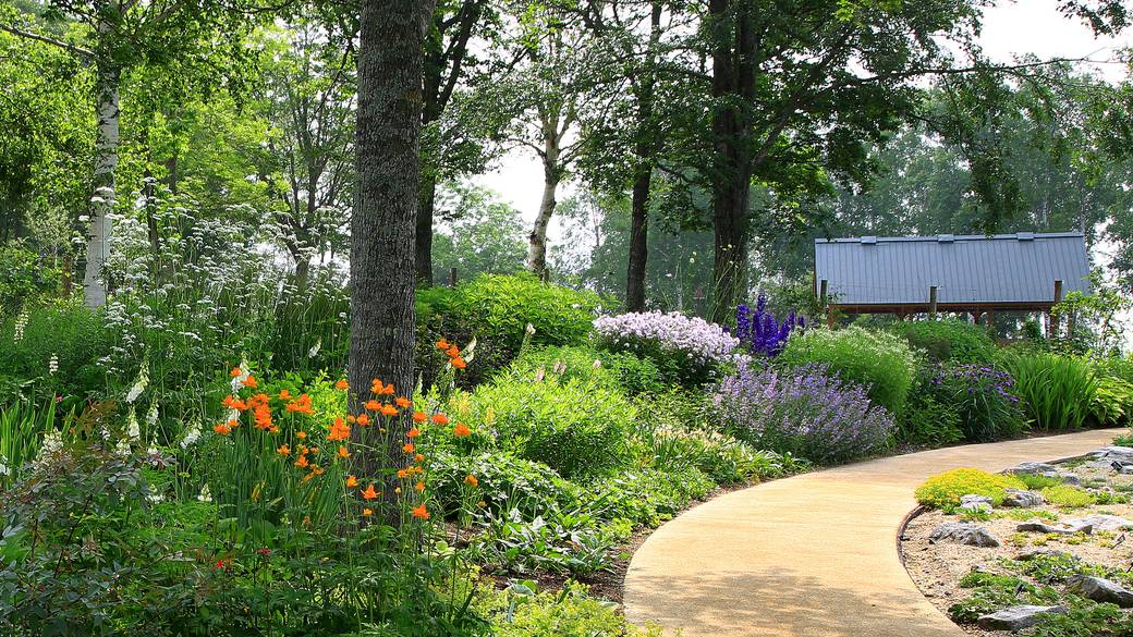 大雪森のガーデン / 4