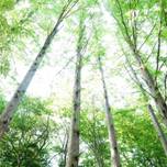 プラネタリウムに岡本太郎！川崎市多摩区の「生田緑地」が実はスゴイ！