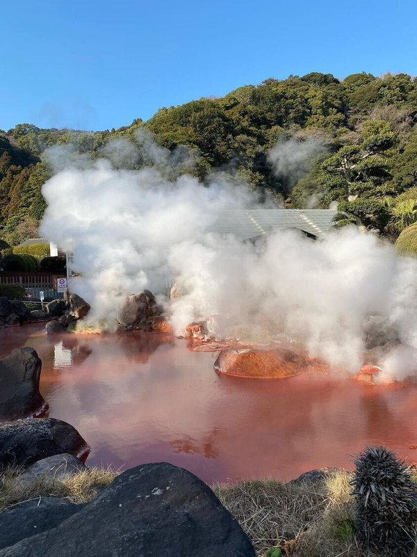 naaaatsu__さんの写真 / 3