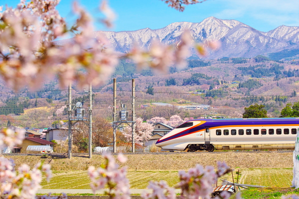 山形には、季節ごとの”山のもの”がたくさん！3638863