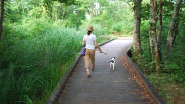 施設の敷地 / 27