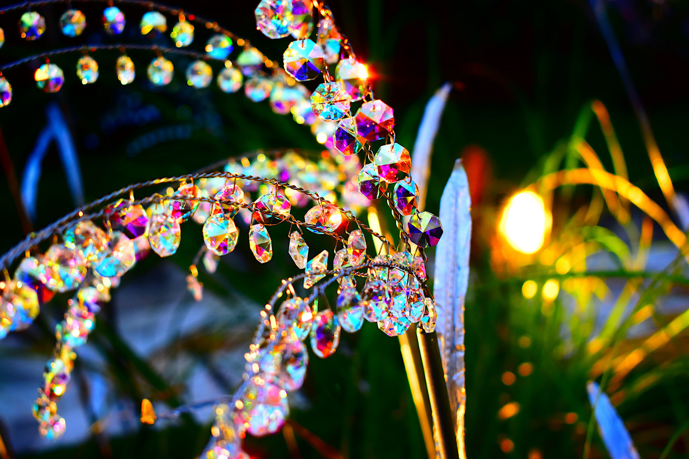 箱根ガラスの森美術館クリスタル・ガラスのススキ