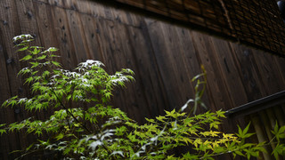 プレミアム タウンハウスNo.1 禁煙