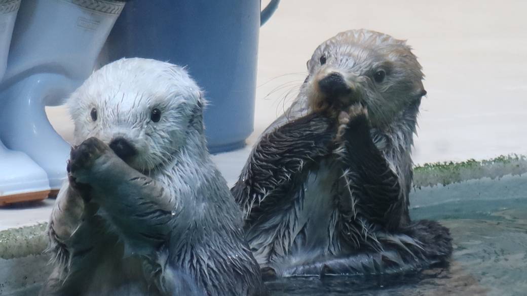 鳥羽水族館② / 2