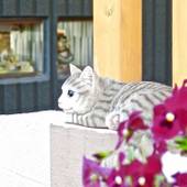 苔生宿（滋賀県 民宿） / 5