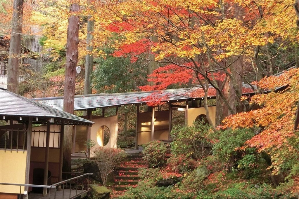 敷地内の自然③