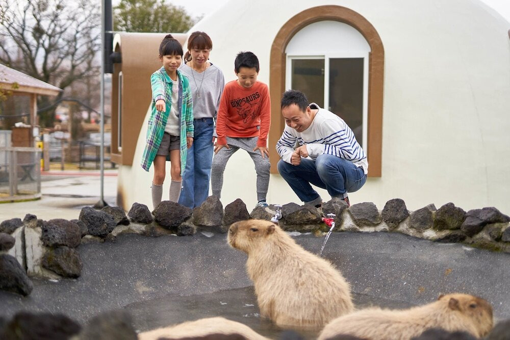 カピバラの入浴
