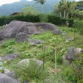 宿 天豆（sora mame）（鹿児島県 民宿） / 4