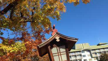 施設の敷地 / 27