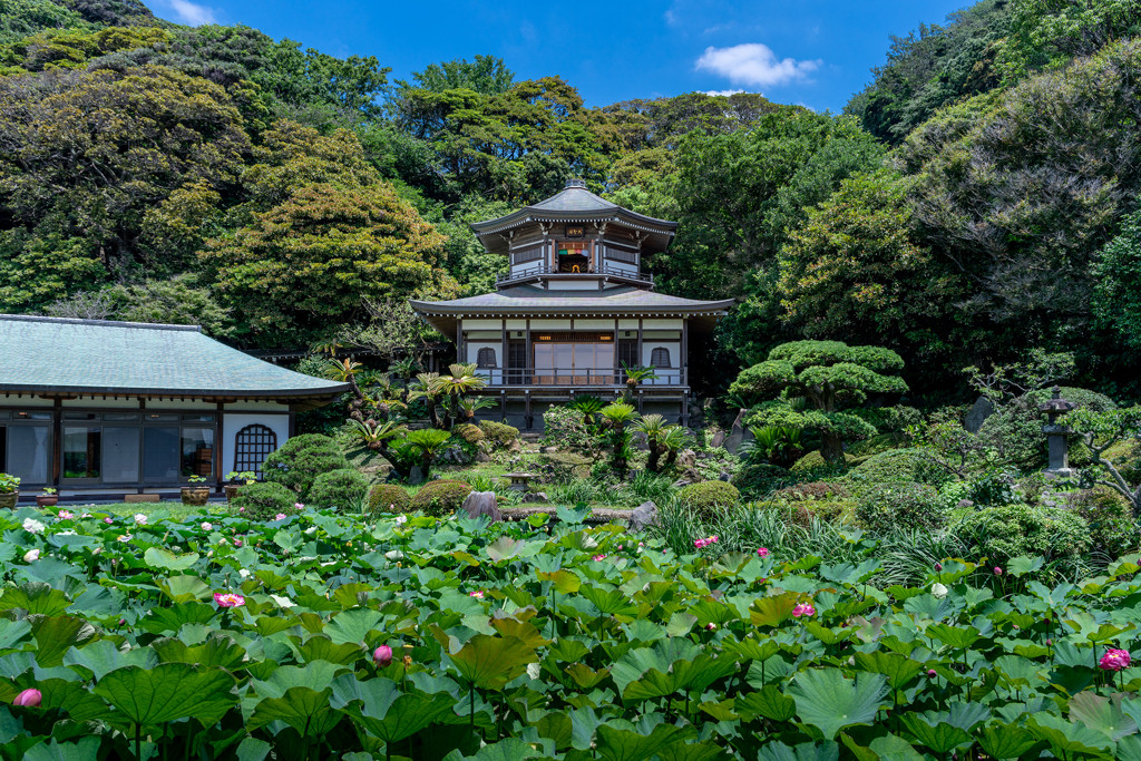 光明寺2494278